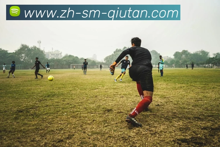 App Interface Preview