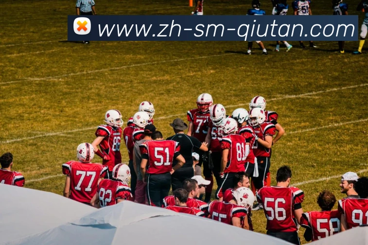 球探体育APP 封面图